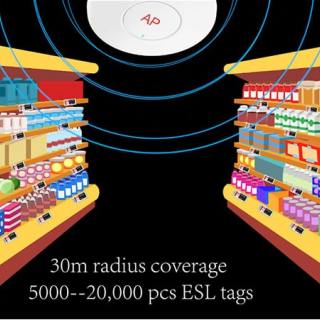 Введение решения английский как второй язык
