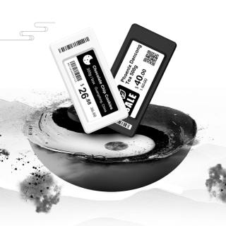 2,66-дюймовый черно-белый английский как второй язык
